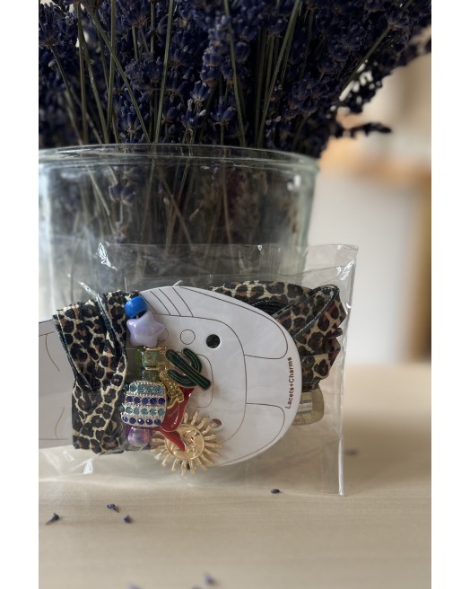 Lacets COUPS DE COEUR